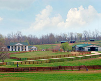 Kentucky3